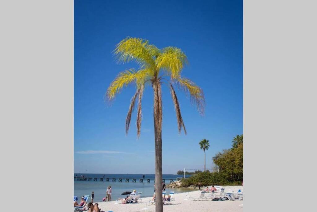 Bay View, Studio206, Steps Away! Pool+wifi Ruskin